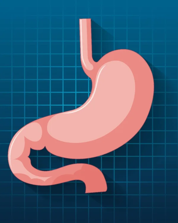 GI Bleeding Management